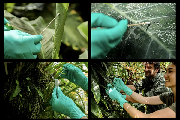 environmental DNA