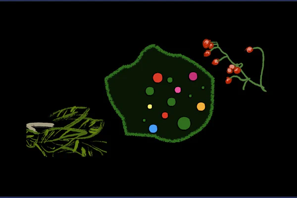 Food Resource Landscapes