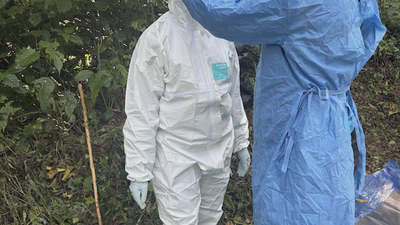 Disease Ecology featured image