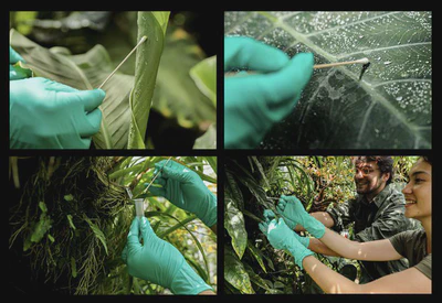environmental DNA featured image