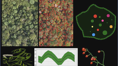 Food Resource Landscapes featured image